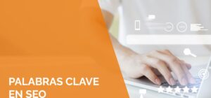 como elegir las mejores palabras clave seo para tu web